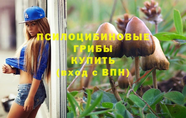 альфа пвп Алексеевка
