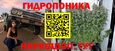 соль ск Чапаевск
