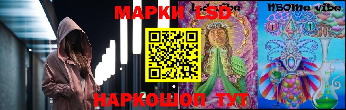 ЛСД экстази ecstasy  Вход с VPN  Новозыбков  ЛСД экстази кислота 