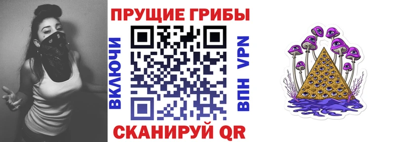 hydra зеркало  Новозыбков  Псилоцибиновые грибы мицелий 