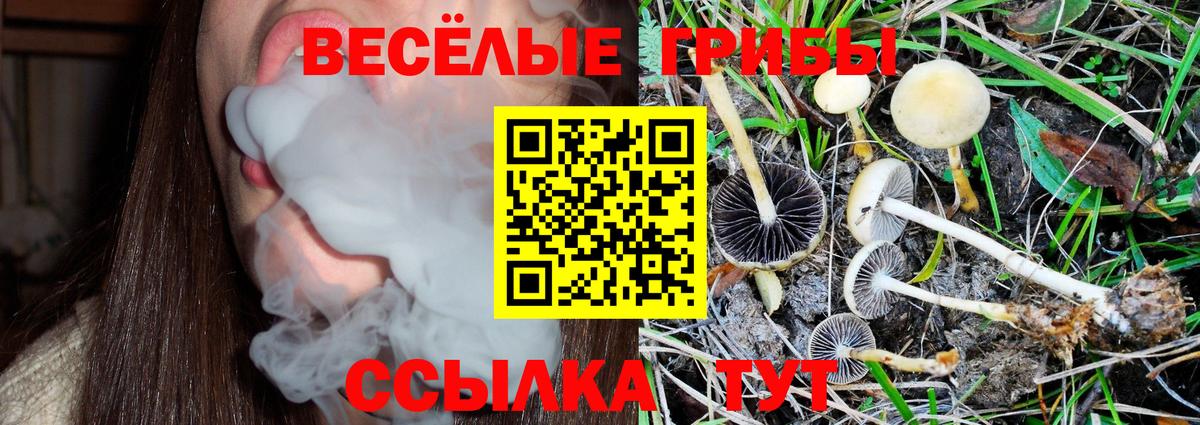 Codein Новозыбков