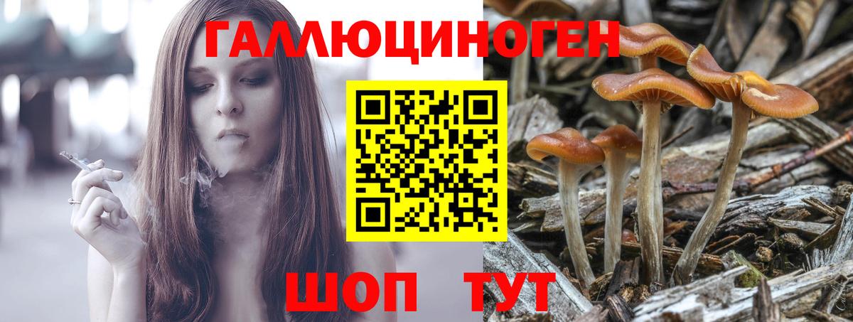 закладки  Вход с VPN  Новозыбков  Псилоцибиновые грибы MAGIC MUSHROOMS  Галлюциногенные грибы мухоморы 