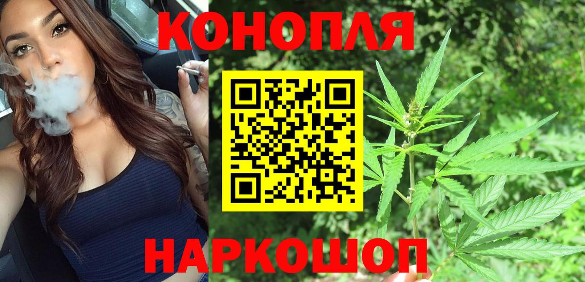 Канабис Bruce Banner  Бошки Шишки план  Новозыбков  Вход с VPN  МАРИХУАНА сатива  Каннабис планчик 